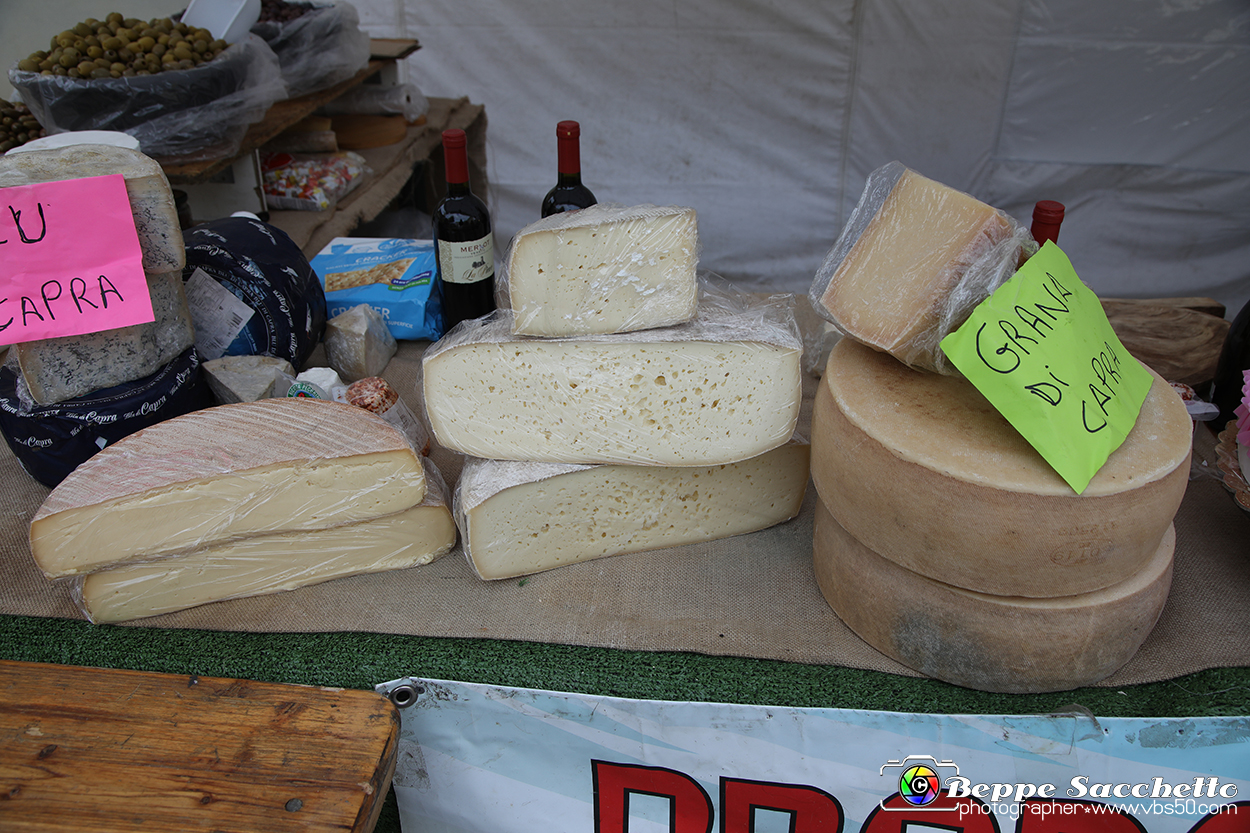 VBS_6169 - Fiera dei Santi - 12.ma Fiera Nazionale del Tartufo.jpg